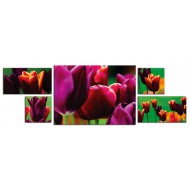Цветы Модульные картины из 5 частей - Полиптих 5013