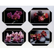 Цветы Подарочные наборы 40x50 из 4-х изображений - Набор из 4 картин в раме Ч027