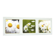 Цветы Цветы 25x75 - Картины в раме (триптих) К660
