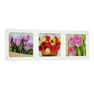 Цветы Цветы 25x75 - Картины в раме (триптих) T147