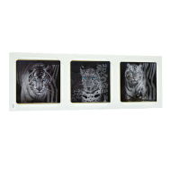 Животные Животные 25x75 - Набор из 3 картин арт. TZ206